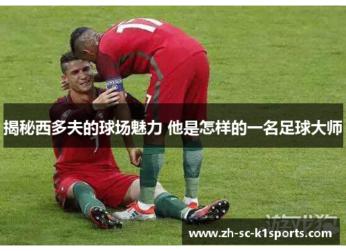 揭秘西多夫的球场魅力 他是怎样的一名足球大师