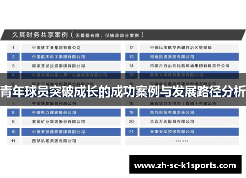 青年球员突破成长的成功案例与发展路径分析 青年球员突破成长的成功案例与发展路径分析