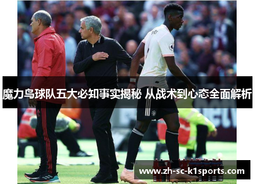 魔力鸟球队五大必知事实揭秘 从战术到心态全面解析 魔力鸟球队五大必知事实揭秘 从战术到心态全面解析